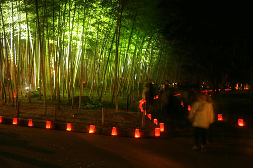 IMG_4678_1.JPG