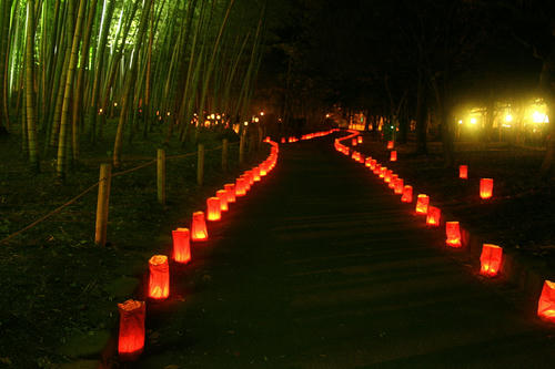 IMG_4679_1.JPG