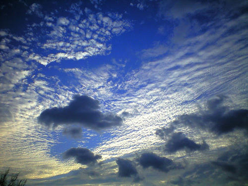 CA3A0101_1.JPG