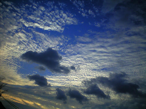 CA3A0102_1.JPG