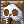 pandacoffe02.png