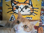 60446fdc.gif