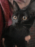 c2bc37fb.gif