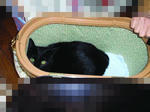 PB223617.gif.jpg