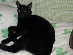 P8020905-1.JPG