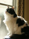 3f464f46.jpg