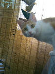 20100814_02.JPG