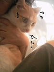 20100814_03.jpg