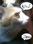 20100814_04.JPG