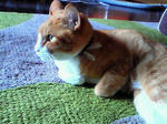 20110531_1.jpg