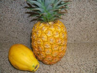 Pineapple_Papaya.JPG