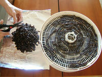 Cut Beef Jerky