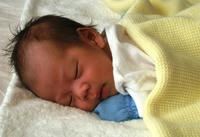 31day_20071009_1.JPG