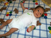 65day_20071112.JPG
