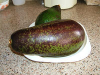 Avocado.JPG