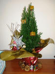 Xmas_tree_2008.JPG
