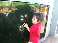 HNL_Zoo_5.JPG