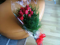 Roses_1.JPG