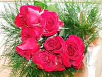 Roses_2.JPG