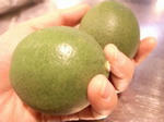 lime.jpg