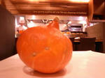 zucca.jpg