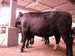 5fbe3d78.jpg