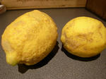 78753da3.jpg