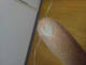 NEC_0237.JPG