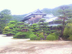 s_P1010018.jpg