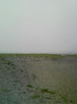 8247d097.jpeg