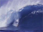 bigwave4.jpg