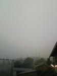 81c59046.jpeg