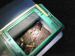 200708110447000.jpg