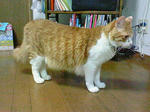 200708071905000.jpg