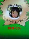 NEC_0047.JPG