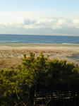 200802170731000.jpg