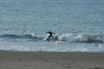 IMG_5268.JPG