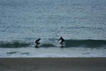 IMG_5273.JPG