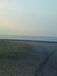 200802230717000.jpg