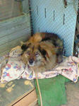200802240634000.jpg