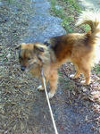 200802240932000.jpg