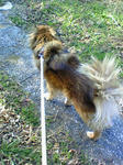 200802240932001.jpg