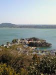 200802241329002.jpg