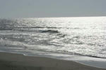 IMG_5288.JPG