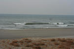 IMG_5307.jpg