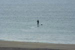 IMG_5330.jpg