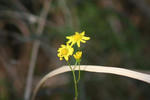 IMG_5335.jpg