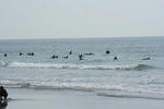 IMG_5343.jpg