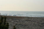 IMG_5363.jpg