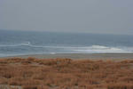 IMG_5390.jpg